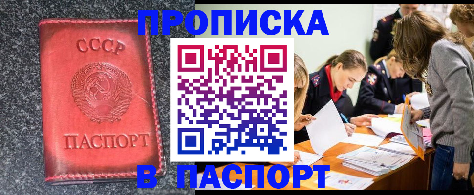 прописка для школы в Химках